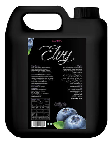 ELVY Blueberry Flavored syrup 5L